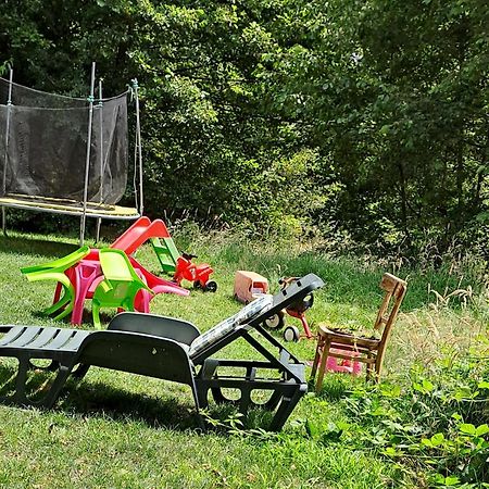 Готель Vis Implinit Кирцишоара Екстер'єр фото